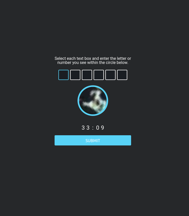 Verified Mirror Access